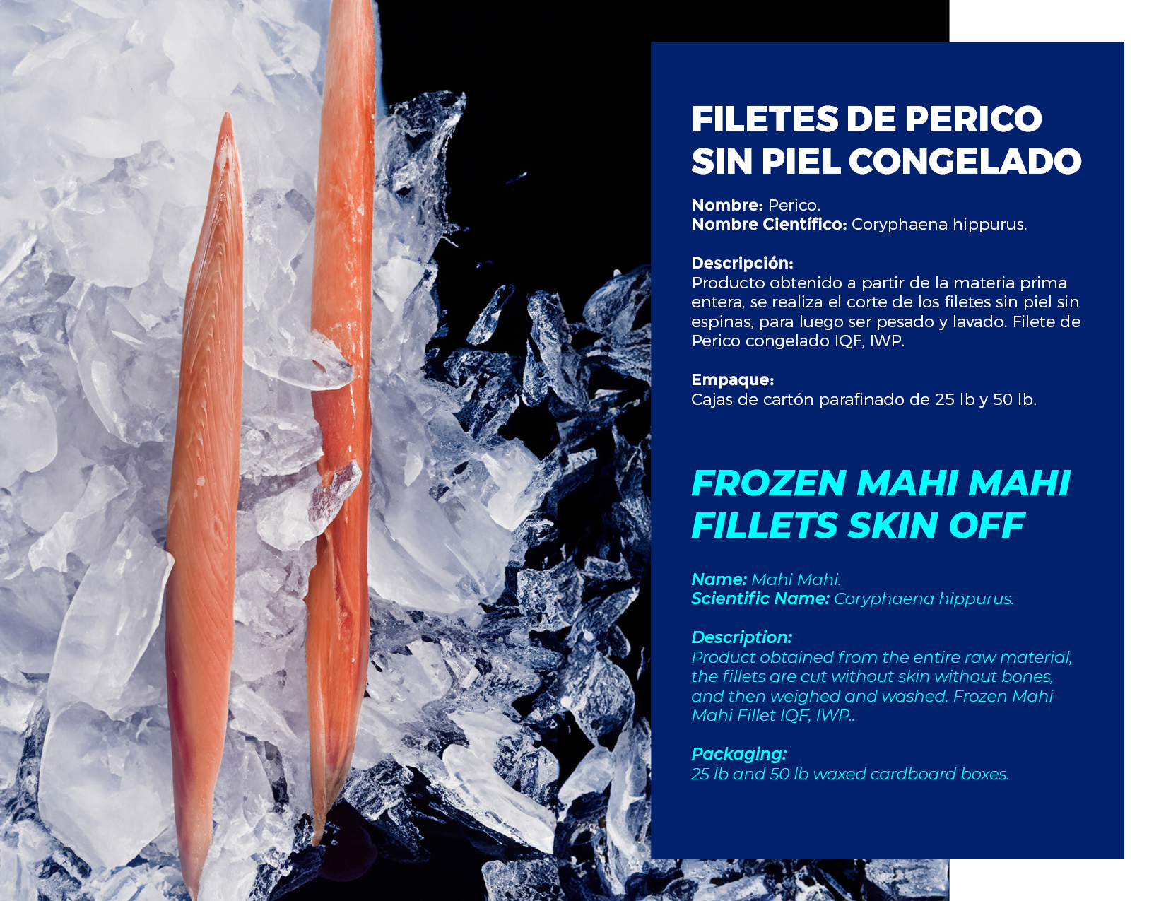 brochure 1